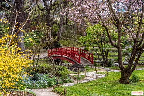 jardin japonais du Musée Albert Kahn
