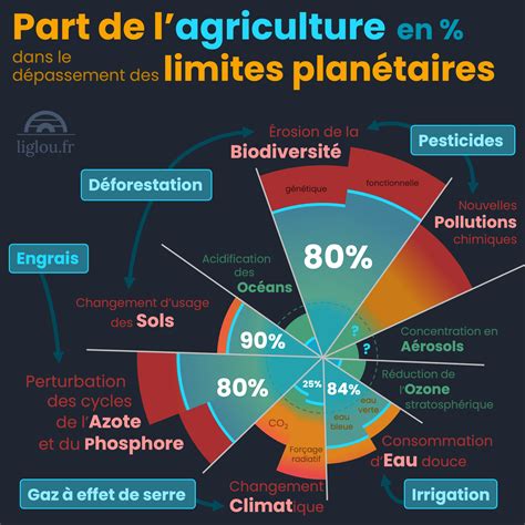 Infographie illustrant l'impact de l'agriculture industrielle sur la biodiversité des semences