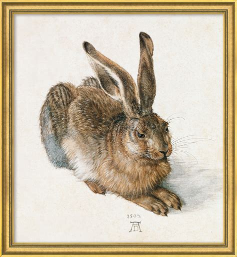 Tableau représentant les influences du Lièvre de Dürer