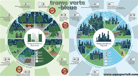 schéma de trame verte et bleue