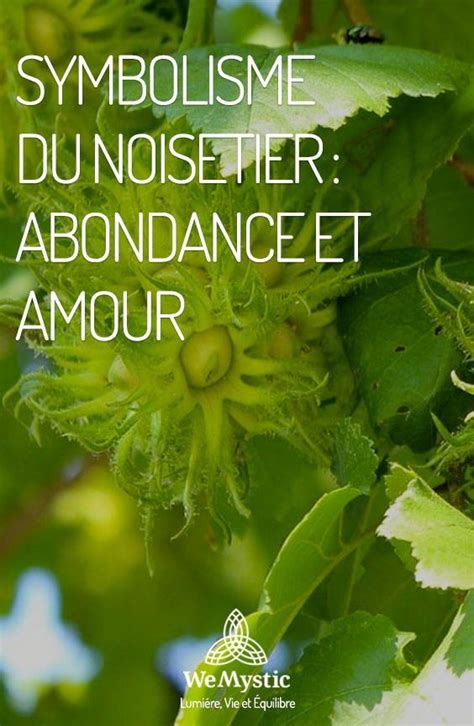 Symbolisme du noisetier