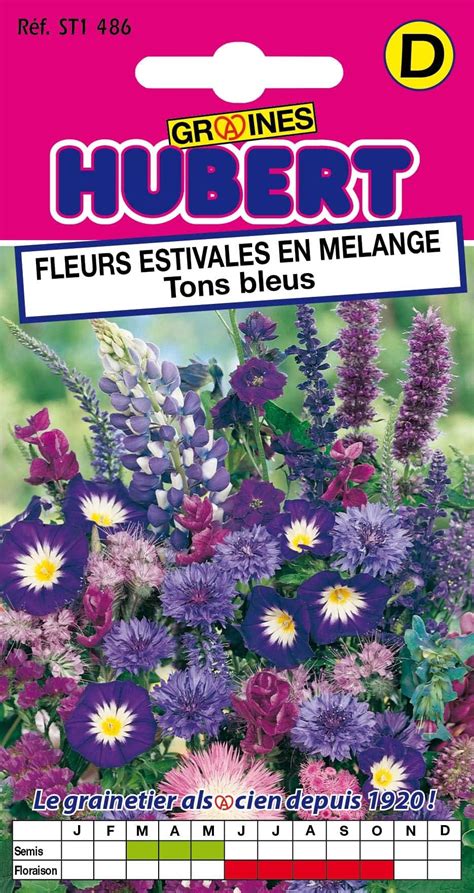 Paquet de graines Truffaut avec l'illustration du mélange de fleurs vivaces hautes