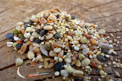 Mélange de graines pour prairies animales