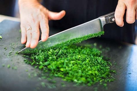Image de mains coupant des tiges de persil frais dans un jardin.