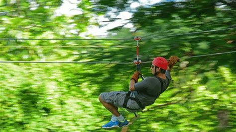 groupe d'enfants s'amusant sur une tyrolienne en forêt
