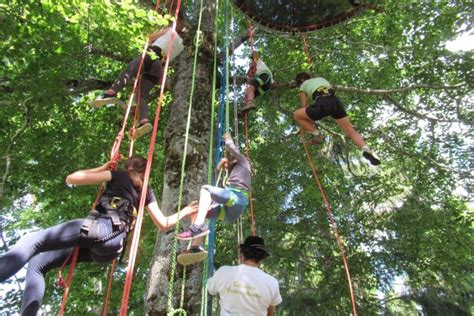 enfants en atelier de grimpe d'arbres, écoutant des explications sur la nature