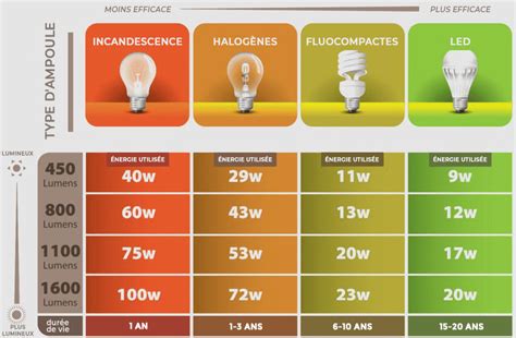 Comparaison des types d'ampoules
