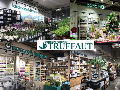 Intérieur d'un magasin Truffaut