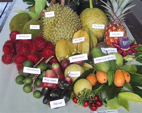 Variétés de fruits rares