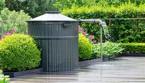 Système de récupération d'eau de pluie pour bonsaïs