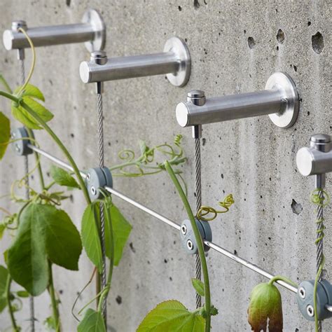 Détail des composants d'un système de câbles pour plantes grimpantes