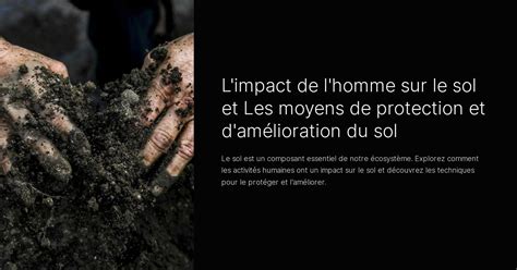 Schéma de l'impact du sel sur le sol