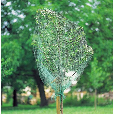 Filet de protection sur un arbre fruitier