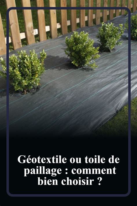 Infographie décisionnelle : Paillage ou Géotextile ?