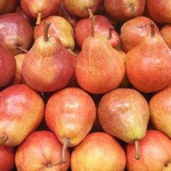 Poires Williams Rouge avec leurs points blancs caractéristiques