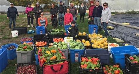 Schéma de la récolte des fruits et légumes