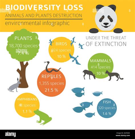 Infographie sur la perte de biodiversité agricole