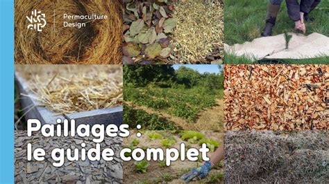 Schéma illustrant les bénéfices du paillage pour le sol