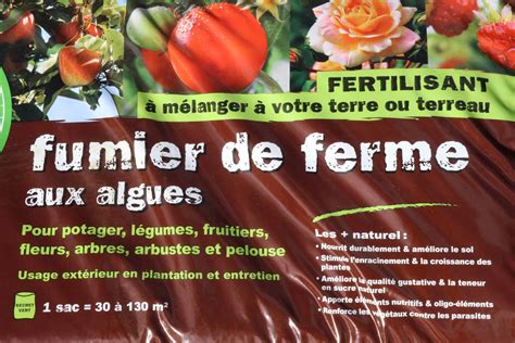 Amendements naturels pour citronniers