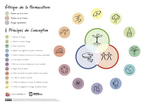 Schéma des 3 éthiques de la permaculture entourées des 12 principes de conception