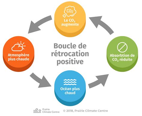 Diagramme illustrant les boucles de rétroaction positives et négatives