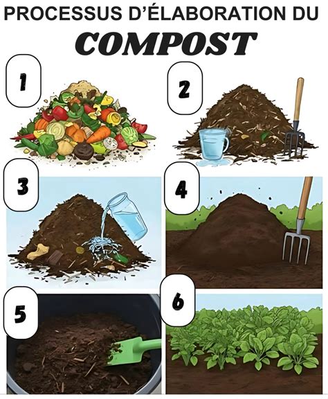 Exemple de composteur domestique transformant les déchets organiques en ressource