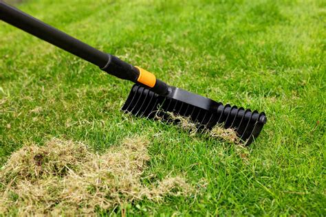 Outillage spécifique pour les surfaces dures et la pelouse