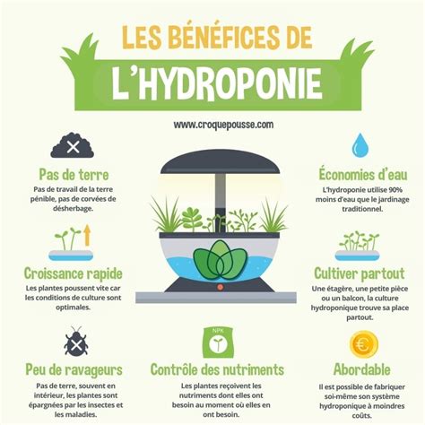 Infographie sur l'importance du pH et de l'EC dans la culture hydroponique