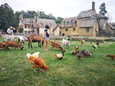 Enfants interagissant avec des animaux de la ferme
