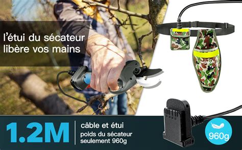 Différents types de sécateurs électriques : manuel et sur perche