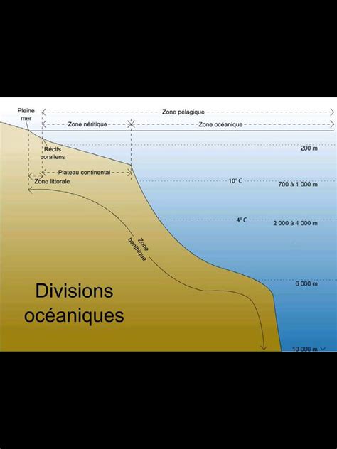 Les créatures idéales pour les biomes aquatiques et semi-aquatiques