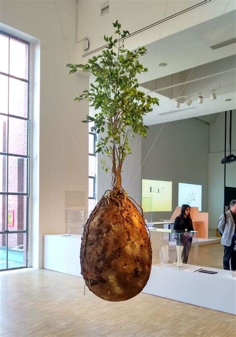 Image conceptuelle de la capsule funéraire Capsula Mundi avec un arbre en croissance
