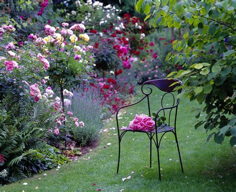 Paysage bucolique d'un jardin périgourdin entretenu