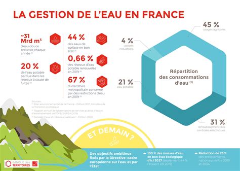 Infographie sur l'impact de la gestion de l'eau sur le rendement du maïs