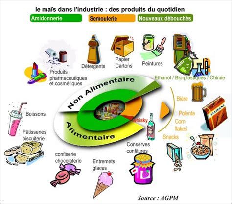 Illustration des différentes utilisations du maïs