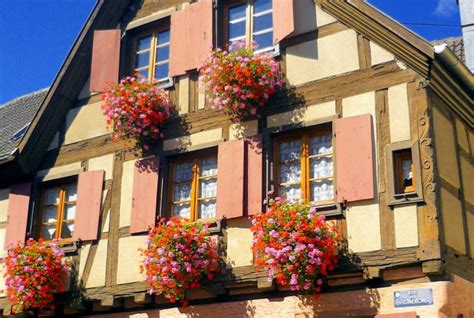 Balcons fleuris de géraniums en Alsace