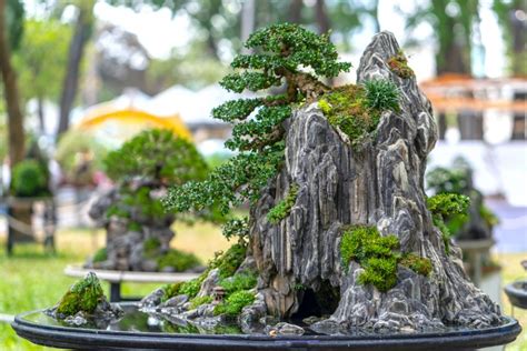 Histoire du Penjing chinois