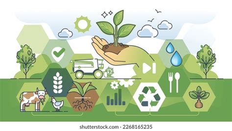 sustainable agriculture illustration