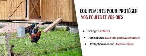 Schéma de protection anti-prédateurs pour poulailler