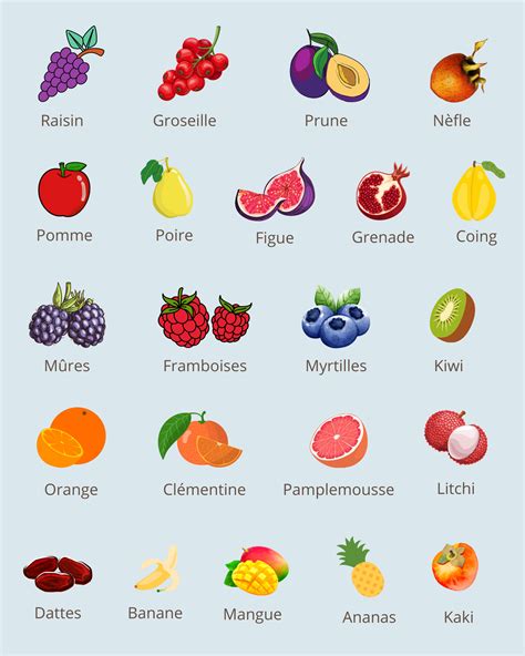 Infographie sur les techniques de cueillette pour différents types de fruits