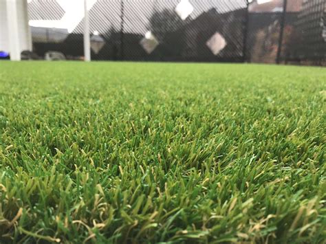 Exemple de gazon synthétique Royal Grass