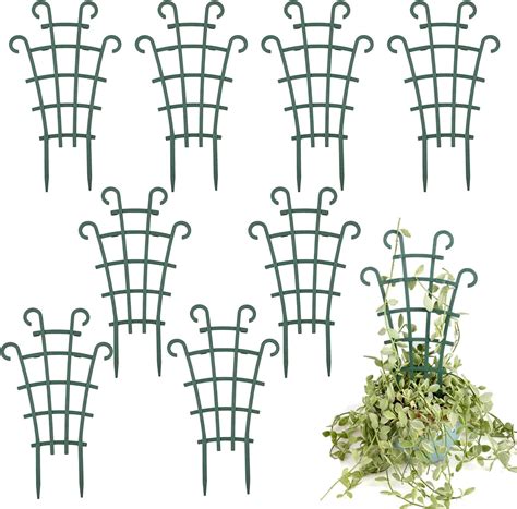 Illustration des différents types de tuteurs pour plantes