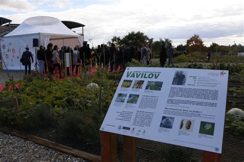 Ferme Melchior, antenne du projet Vavilov près de Lyon