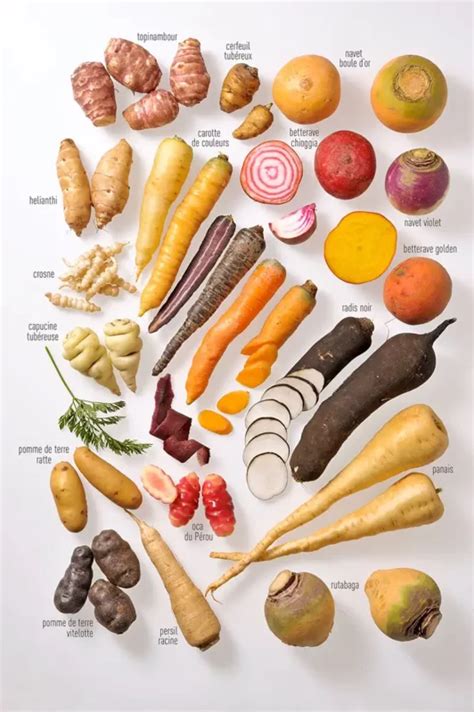 Diversité de légumes anciens