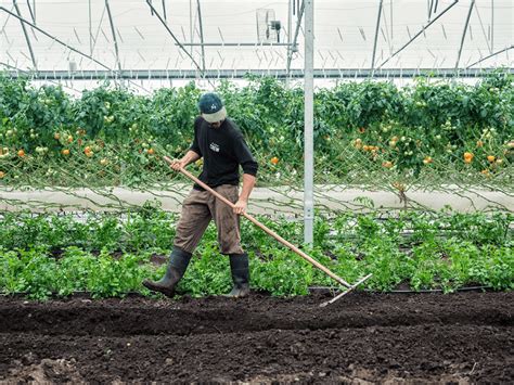 Diagramme des outils essentiels du maraîcher bio