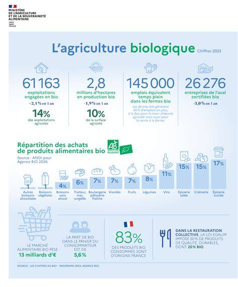 Infographie sur les différents produits innovants issus de l'agriculture biologique bretonne