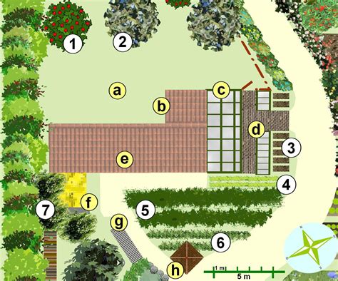 Plan de jardin avec diverses cultures potagères et ornementales
