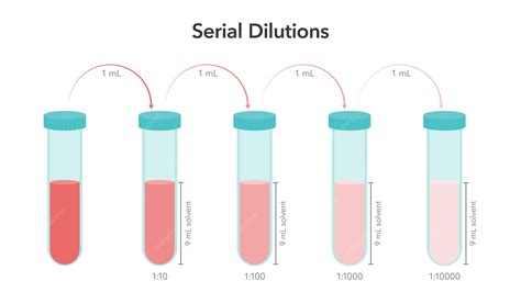Schéma illustrant les dilutions et fréquences d'application du purin