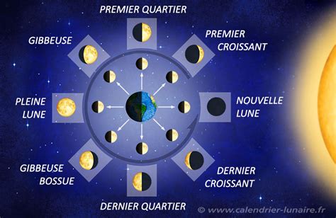 Un calendrier lunaire stylisé avec des symboles pour les phases de la lune et les types de cultures.