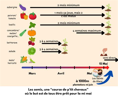 Une page d'un cahier de jardin détaillant les semis de tomates avec la date, la variété et les résultats.